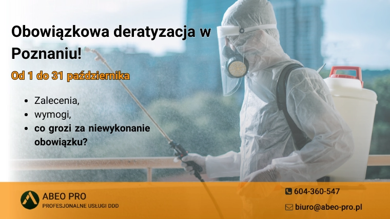 Obowiązkowa deratyzacja w Poznaniu