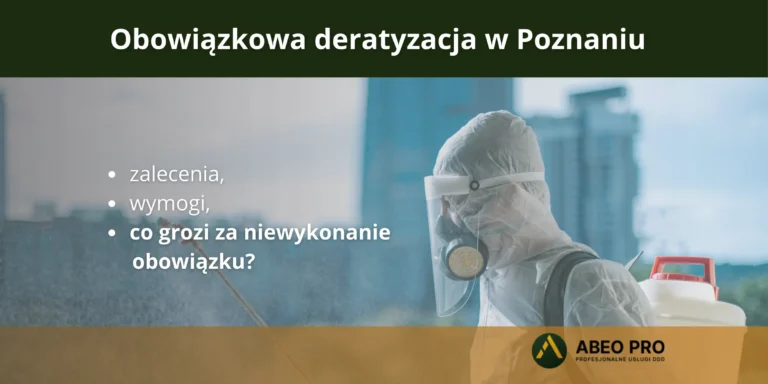 Obowiązkowa deratyzacja w Poznaniu – akcja deratyzacyjna już od 1 do 31 kwietnia 2026 roku!