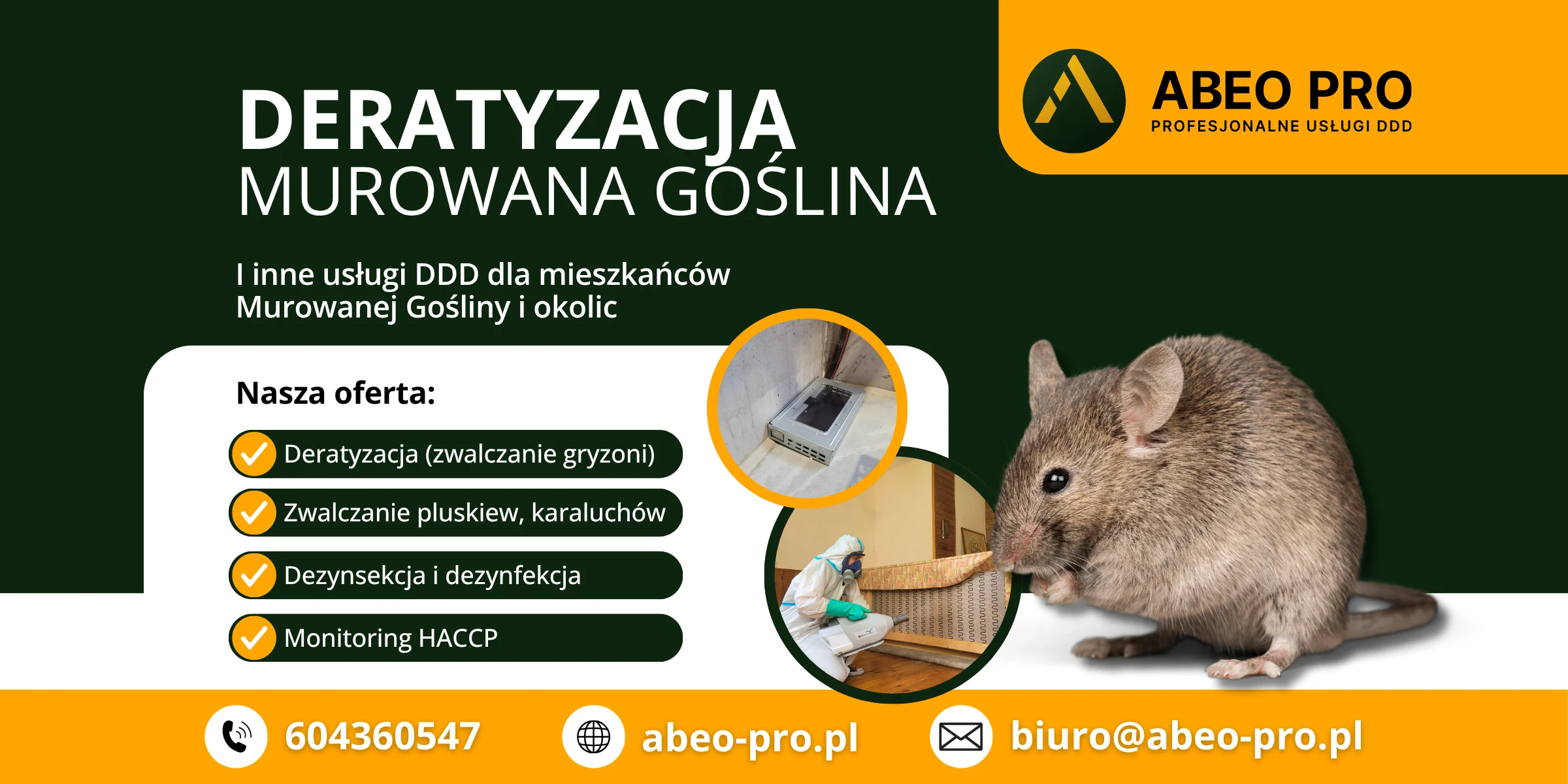 Obraz przedstawia ofertę firmy ABEO PRO w zakresie deratyzacji w Murowanej Goślinie w województwie wielkopolskim
