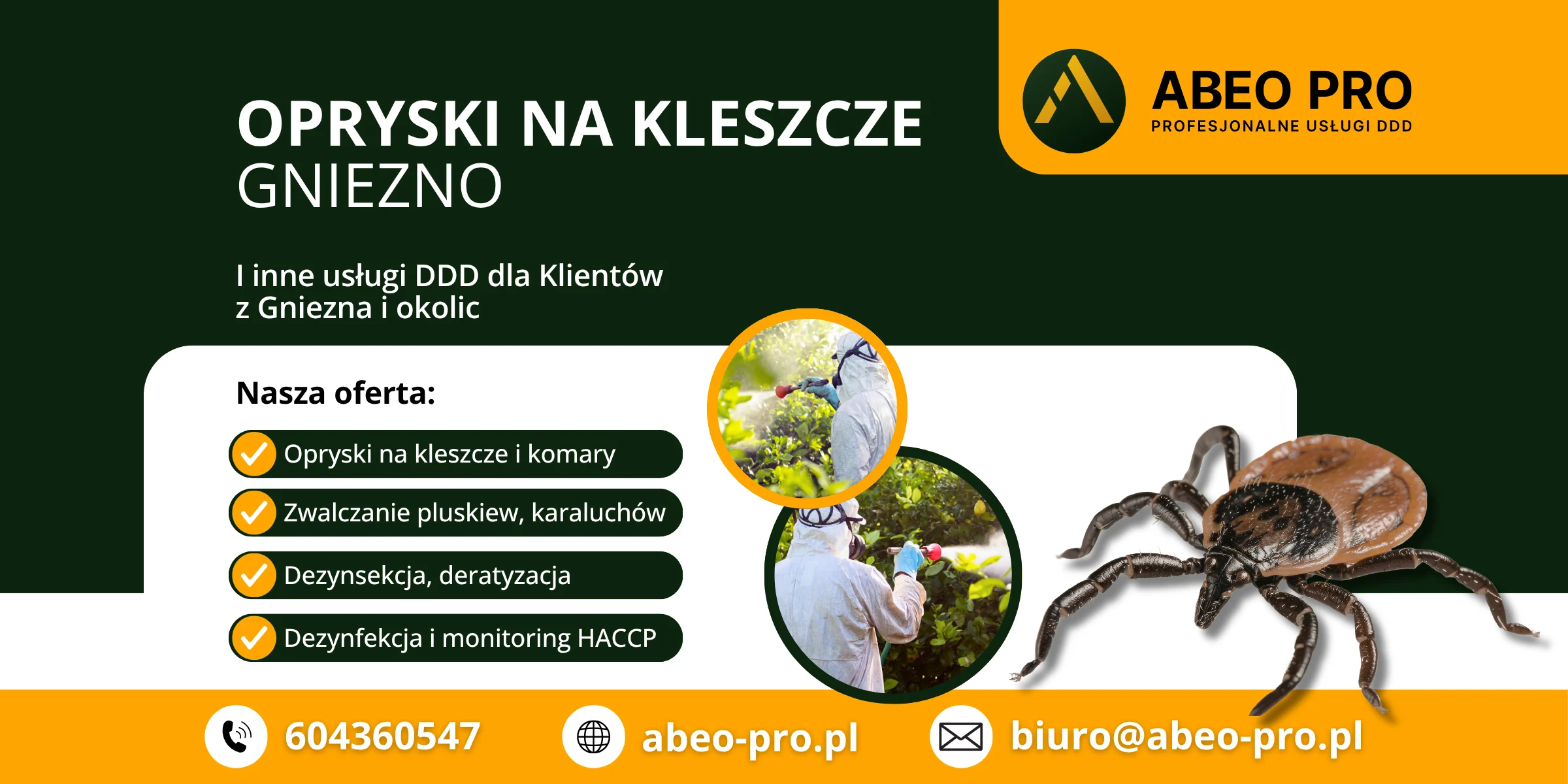Obraz przedstawia ofertę ABEO PRO w zakresie oprysków na kleszcze w Gnieźnie, czyli zabiegów odkleszczania w Gnieźnie