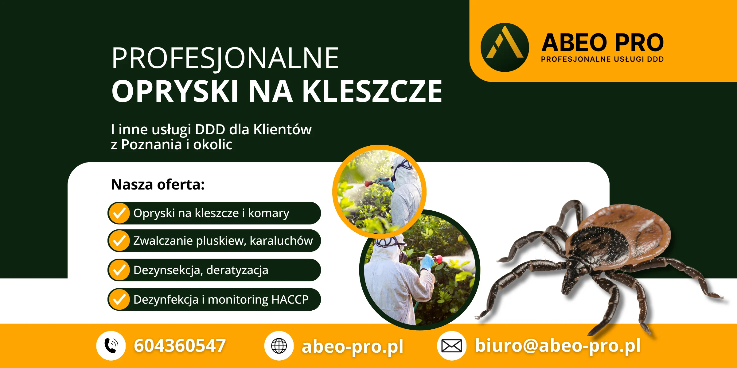 Obraz przedstawia ofertę ABEO PRO w zakresie oprysków na kleszcze w Poznaniu i zwalczania kleszczy Poznań