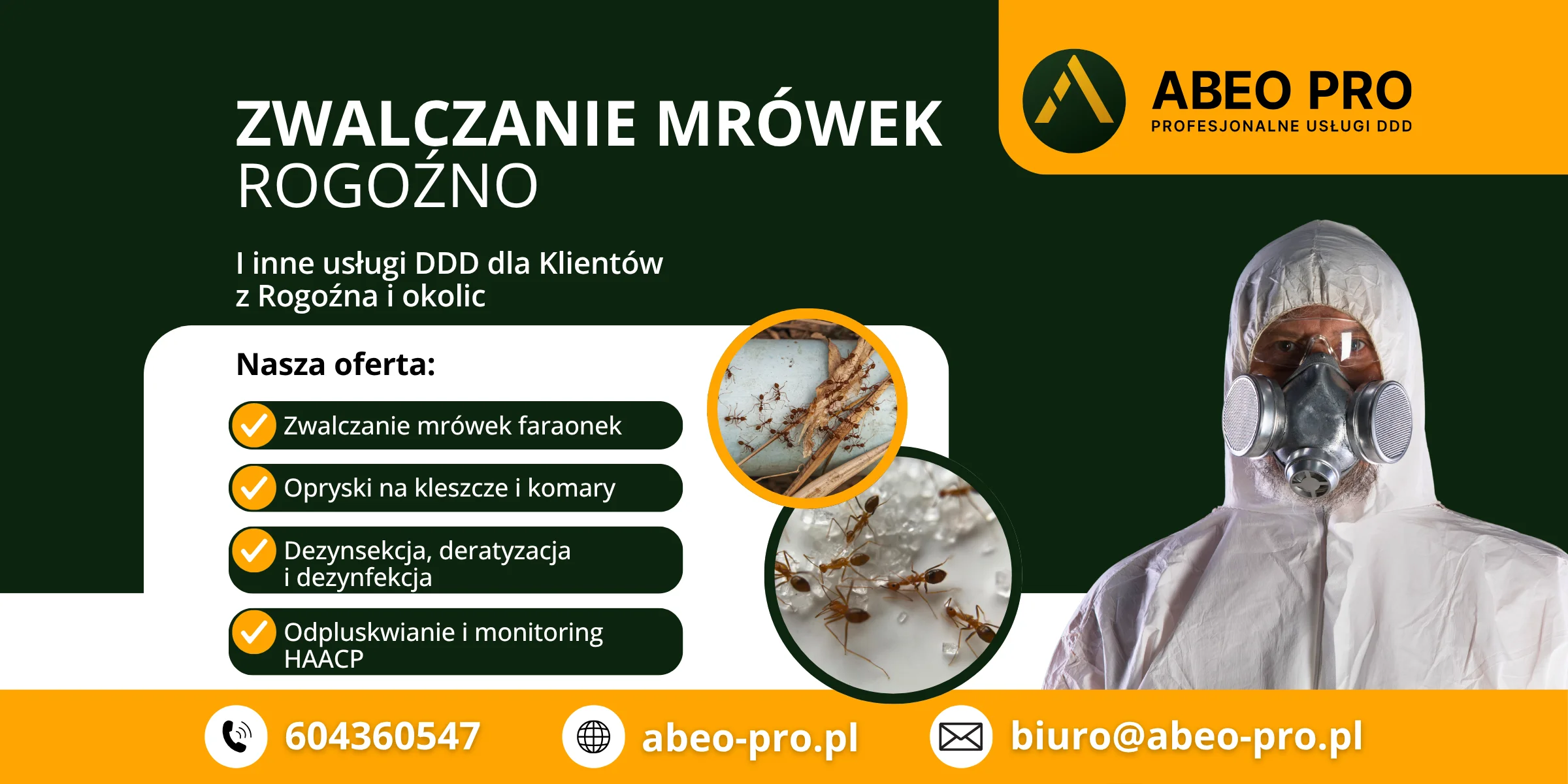 Obraz przedstawia ofertę zwalczania mrówek w Rogoźnie w województwie wielkopolskim. Usługę świadczy firma ABEO PRO z Poznania.