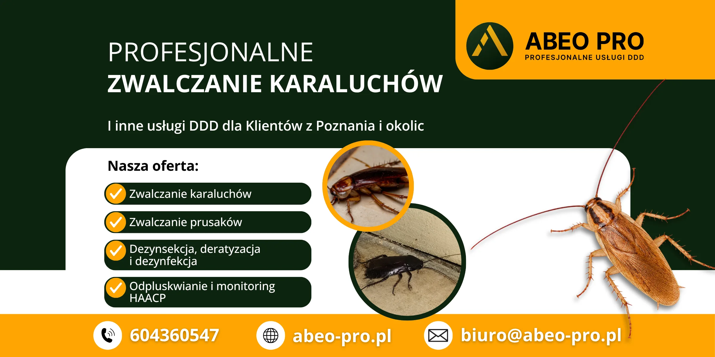 Obraz przedstawia szczegóły oferty firmy DDD ABEO PRO w zakresie zwalczania karaluchów i prusaków w Poznaniu
